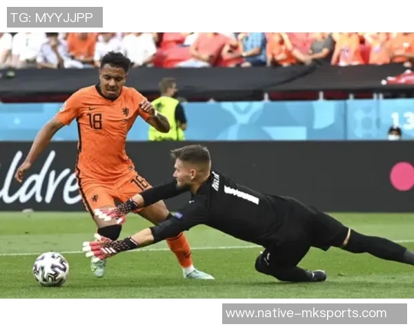 葡萄牙对阵荷兰足彩分析及投注建议全面解读 葡萄牙对阵荷兰足彩分析及投注建议全面解读